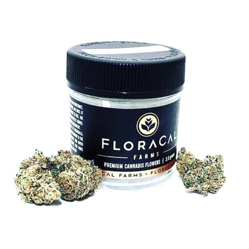 Jet Fuel Gelato 4 3.5g Flower from FloraCal Farms on