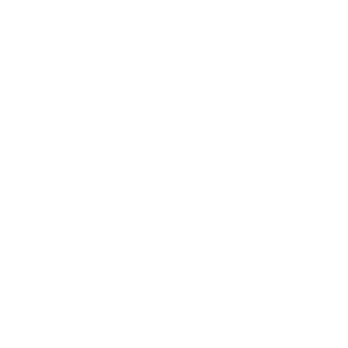 Wild Watermelon Vegan