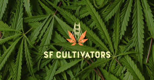 Ice Cream Man 3 5g Flower From Sf Cultivators On Bud Com