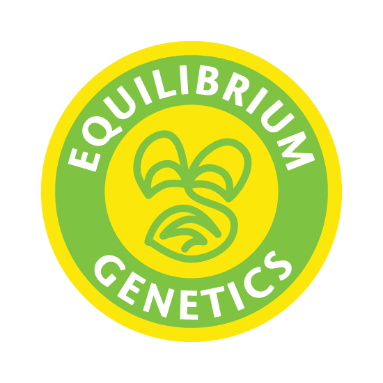 Peanut Butter Triangles 12pk