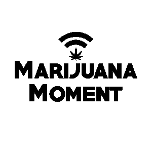 Marijuana Moment logo